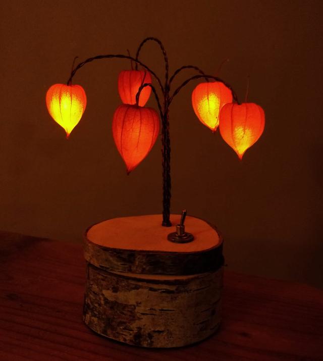 Image for Physalis Glow Light